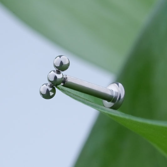 Labret Etcétera