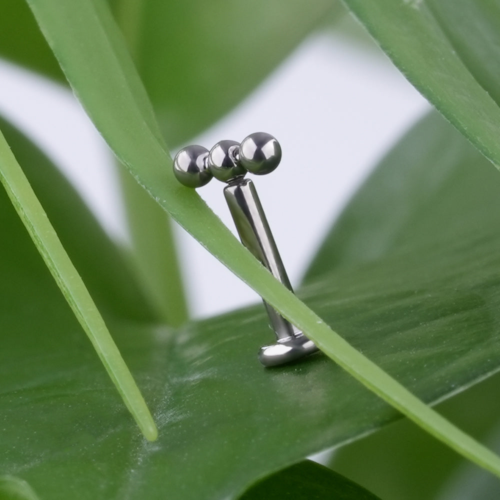 Labret Etcétera