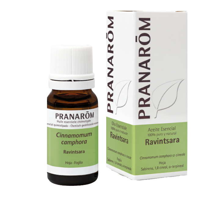 Aceite esencial Ravintsara 10 ml