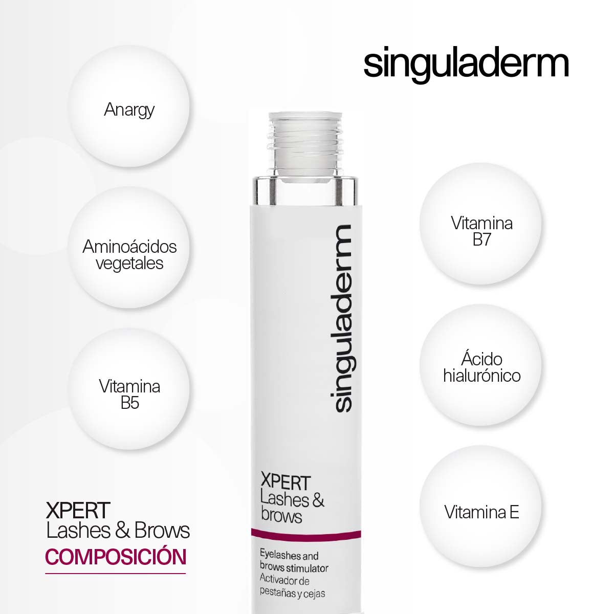 XPERT Lashes & brows