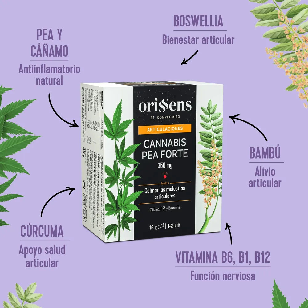 Orissens. PEA Forte